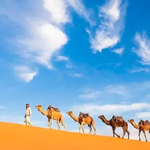 Explore 9-Days Morocco Tours from Marrakesh for 9 days with Explore Morocco Journeys and discover unforgettable experiences - Photo 7