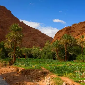 Explore 9-Days Morocco Tours from Marrakesh for 9 days with Explore Morocco Journeys and discover unforgettable experiences - Photo 9