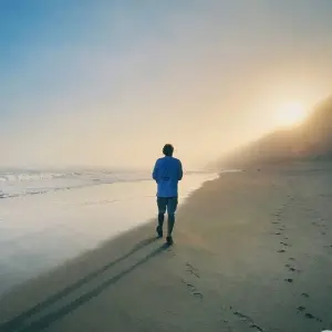 Explore Cape Town - Garden Route Adventure Tour - 5 Days for 5 days with Explore South Africa and discover unforgettable experiences - Photo 2