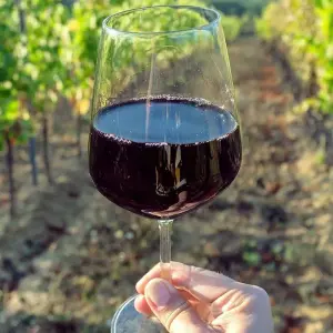 Explore Cape Winelands and the Garden Route for Wine Lovers - 5 Days for 5 days with Explore South Africa and discover unforgettable experiences - Photo 3