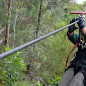 Explore Cape Town - Garden Route Adventure Tour - 5 Days for 5 days with Explore South Africa and discover unforgettable experiences - Photo 5