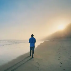 Explore Explore the Garden Route  from Port Elizabeth - 4 Days for 4 days with Explore South Africa and discover unforgettable experiences - Photo 3