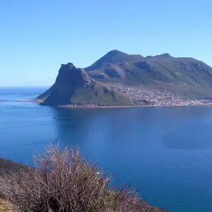 Explore Cape Scenic Safari - 5 Days for 5 days with Explore South Africa and discover unforgettable experiences - Photo 3