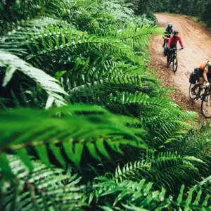 Explore Cape Town - Garden Route Adventure Tour - 5 Days for 5 days with Explore South Africa and discover unforgettable experiences - Photo 6