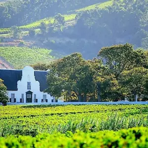 Explore Cape Winelands and the Garden Route for Wine Lovers - 5 Days for 5 days with Explore South Africa and discover unforgettable experiences - Photo 5