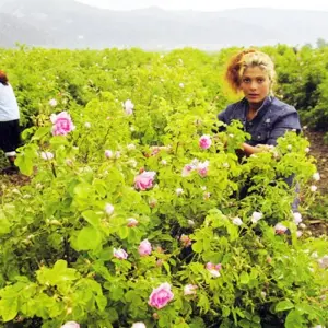 Explore 3-day Merzouga desert tour from Ouarzazate for 3 days with Explore Morocco Journeys and discover unforgettable experiences - Photo 8