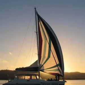 Explore Cape Town - Winelands - Garden Route - Addo National Park:  6 Day Tour for 6 days with Explore South Africa and discover unforgettable experiences - Photo 5