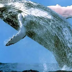 Explore Cape Winelands and the Garden Route for Wine Lovers - 5 Days for 5 days with Explore South Africa and discover unforgettable experiences - Photo 6