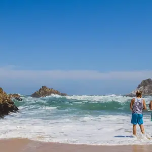 Explore Explore the Garden Route from Cape Town - 4 Days for 4 days with Explore South Africa and discover unforgettable experiences - Photo 6