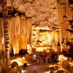 Explore Cape Winelands and the Garden Route for Wine Lovers - 5 Days for 5 days with Explore South Africa and discover unforgettable experiences - Photo 7