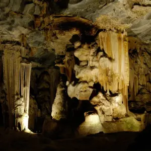 Explore Cape Town - Winelands - Garden Route - Addo National Park:  6 Day Tour for 6 days with Explore South Africa and discover unforgettable experiences - Photo 7