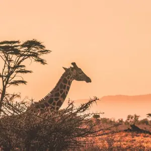 Explore Cape Town & Beyond - 6 Days for 6 days with Explore South Africa and discover unforgettable experiences - Photo 9