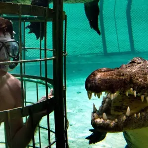 Explore Cape Town - Garden Route Adventure Tour - 5 Days for 5 days with Explore South Africa and discover unforgettable experiences - Photo 11