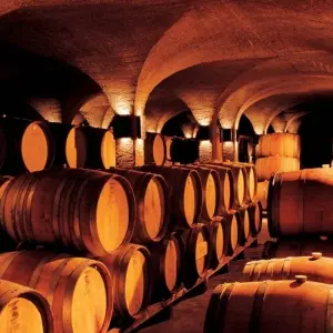 Explore Cape Winelands and the Garden Route for Wine Lovers - 5 Days for 5 days with Explore South Africa and discover unforgettable experiences - Photo 10