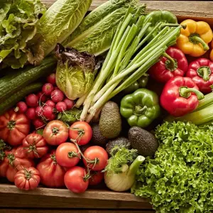 Explore Winelands & Garden Route Health & Wellness:   Spa Treatments - Nutritious Cuisine - Fine Wine   (5 Days) for 5 days with Explore South Africa and discover unforgettable experiences - Photo 10