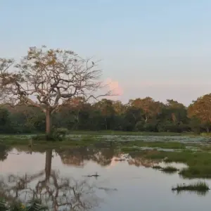 Explore PEARL OF INDIAN OCEAN - 11 Nights 12 Days for 12 days with Explore Vacations PVT Ltd and discover unforgettable experiences - Photo 4