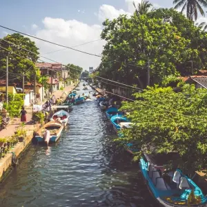 Explore Sri Lanka- Explore Sri Lanka with Explore Vacations- 09 Days/ 08 Nights Tour for 9 days with Explore Vacations PVT Ltd and discover unforgettable experiences - Photo 10