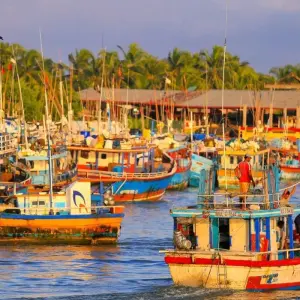 Explore PEARL OF INDIAN OCEAN - 11 Nights 12 Days for 12 days with Explore Vacations PVT Ltd and discover unforgettable experiences - Photo 10