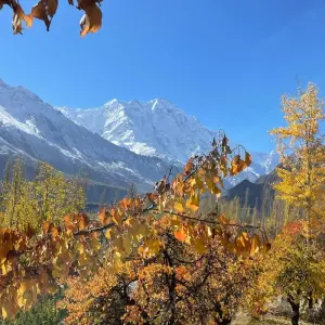 Explore Explore Northern Pakistan - Hunza, Skardu, and Nanga Parbat Base Camp for 14 days with Exploria and discover unforgettable experiences - Photo 4