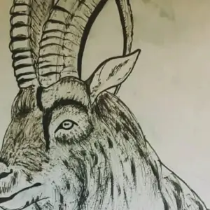 Explore Himalayan Ibex Trophy Hunting Hunza- Northern Pakistan for 9 days with Exploria and discover unforgettable experiences - Photo 5