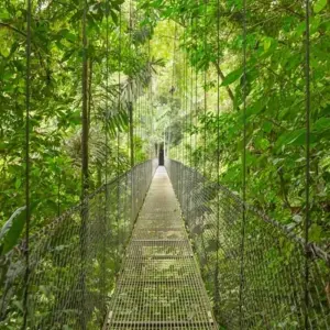 Explore Family Costa Rica Rainforest and Wildlife Adventure for 14 days with Explore! and discover unforgettable experiences - Photo 3