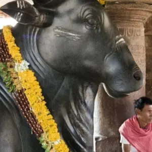 Explore Treasures of Central India for 14 days with Explore! and discover unforgettable experiences - Photo 9