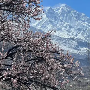 Explore Explore Northern Pakistan - Hunza, Skardu, and Nanga Parbat Base Camp for 14 days with Exploria and discover unforgettable experiences - Photo 8