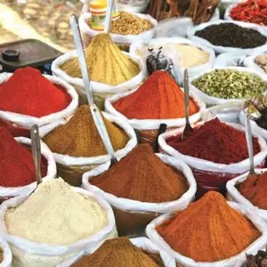 Explore Treasures of Central India for 14 days with Explore! and discover unforgettable experiences - Photo 11