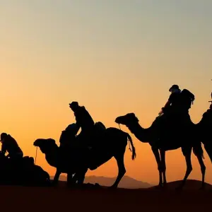 Explore Family Atlas Mountain and Sahara Adventure for 8 days with Explore! and discover unforgettable experiences - Photo 11