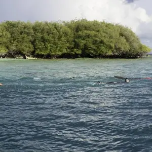 Explore Maldive Dhoni Cruise for 8 days with Explore! and discover unforgettable experiences - Photo 4