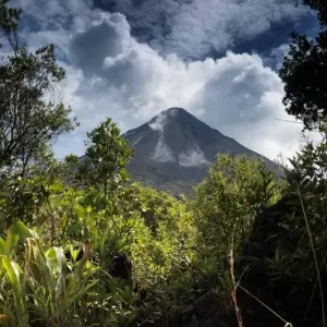 Explore Family Costa Rica Rainforest and Wildlife Adventure for 14 days with Explore! and discover unforgettable experiences - Photo 11