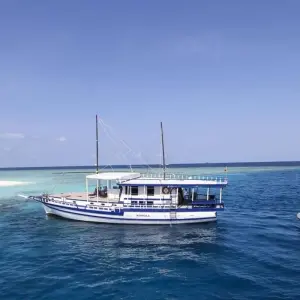 Explore Maldive Dhoni Cruise for 8 days with Explore! and discover unforgettable experiences - Photo 10