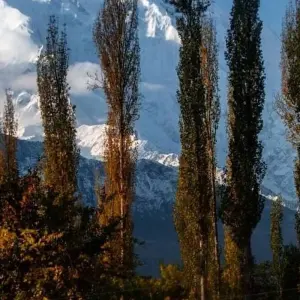 Explore Explore Hunza Valley Pakistan 2025 and 2026 for 7 days with Exploria and discover unforgettable experiences - Photo 7