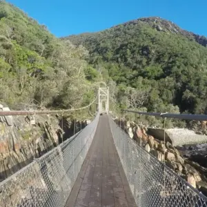 Explore South Africa's Garden Route for 12 days with Explore! and discover unforgettable experiences - Photo 7
