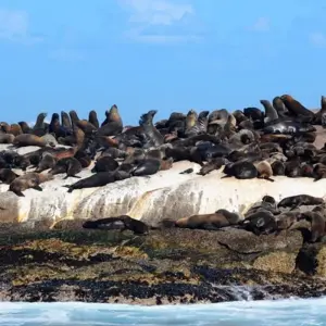 Explore South Africa's Garden Route for 12 days with Explore! and discover unforgettable experiences - Photo 8