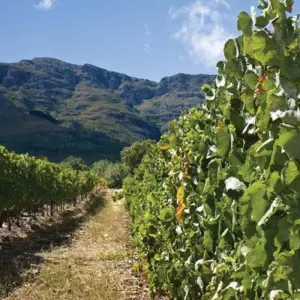 Explore South Africa's Garden Route for 12 days with Explore! and discover unforgettable experiences - Photo 10