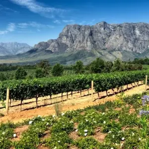 Explore South Africa's Garden Route for 12 days with Explore! and discover unforgettable experiences - Photo 11