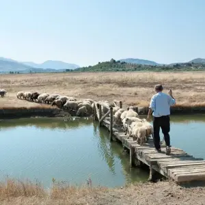 Explore Family Albania Adventure for 8 days with Explore! and discover unforgettable experiences - Photo 8