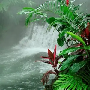 Explore Highlights of Costa Rica for 8 days with Explore! and discover unforgettable experiences - Photo 8