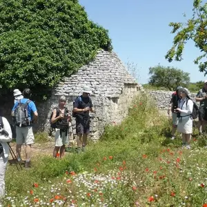 Explore A Taste of Italy - Walking in Puglia for 8 days with Explore! and discover unforgettable experiences - Photo 9