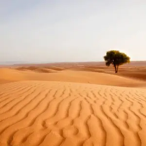 Explore Algeria’s Sahara Desert Adventure for 9 days with Explore! and discover unforgettable experiences - Photo 4