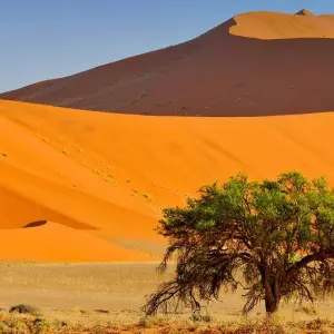 Explore Algeria’s Sahara Desert Adventure for 9 days with Explore! and discover unforgettable experiences - Photo 5