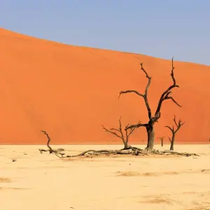 Explore Algeria’s Sahara Desert Adventure for 9 days with Explore! and discover unforgettable experiences - Photo 6