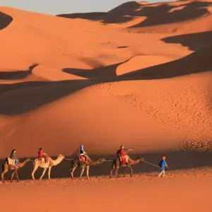 Explore Algeria’s Sahara Desert Adventure for 9 days with Explore! and discover unforgettable experiences - Photo 8