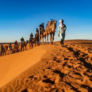Explore Algeria’s Sahara Desert Adventure for 9 days with Explore! and discover unforgettable experiences - Photo 9