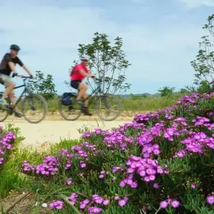 Explore Cycle Portugal - Lisbon to Algarve for 8 days with Explore! and discover unforgettable experiences - Photo 4