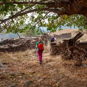 Explore The Heritage Trail of Efeler for 6 days with FONTE TURIZM and discover unforgettable experiences - Photo 3