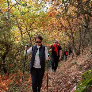 Explore The Heritage Trail of Efeler for 6 days with FONTE TURIZM and discover unforgettable experiences - Photo 4