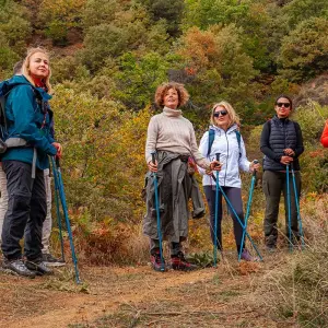 Explore The Heritage Trail of Efeler for 6 days with FONTE TURIZM and discover unforgettable experiences - Photo 7