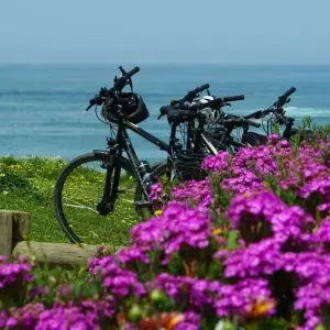 Explore Cycle Portugal - Lisbon to Algarve for 8 days with Explore! and discover unforgettable experiences - Photo 11
